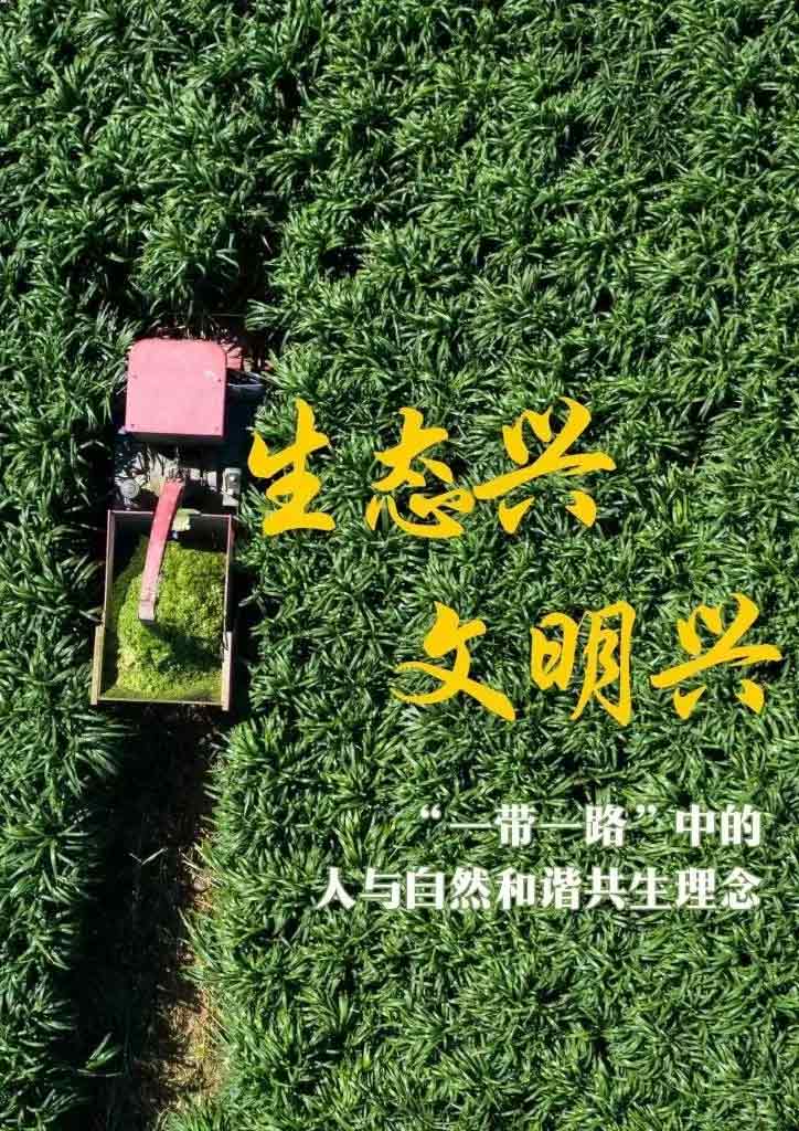 “一帶一路”高峰論壇丨生態(tài)興 文明興，“這是一條綠色可持續(xù)發(fā)展之路”