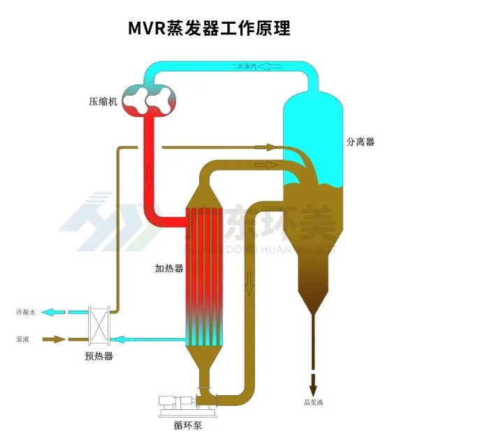 MVR蒸發器